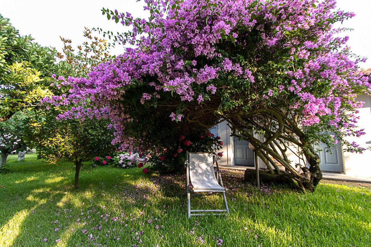 Villa Hermes San Ferdinando Εξωτερικό φωτογραφία